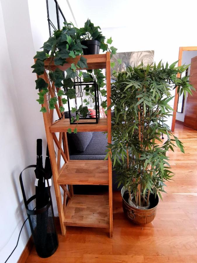 Apartamento El Rincon De Sancha Toledo Exteriör bild